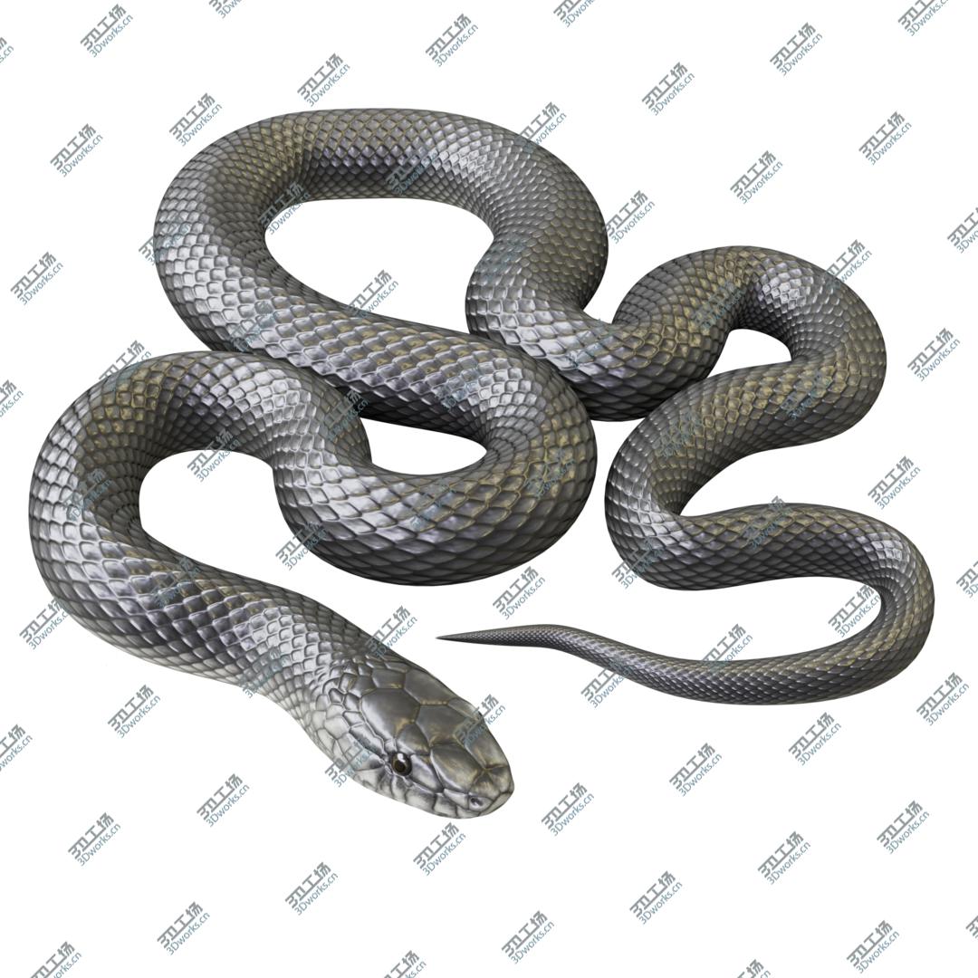 images/goods_img/20210113/3D model Animated Black Mamba/1.jpg